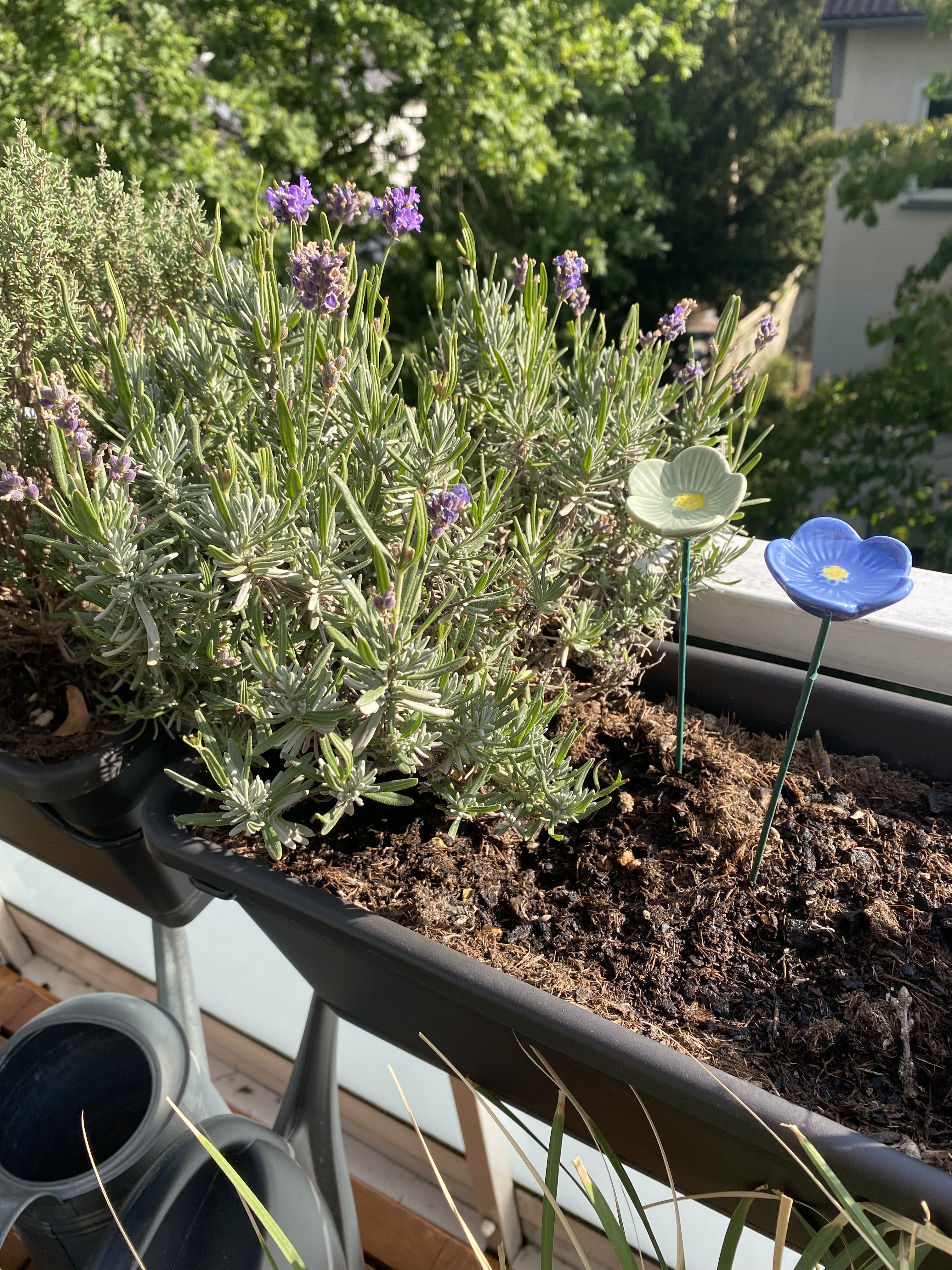 Kleine Balkon-Oase