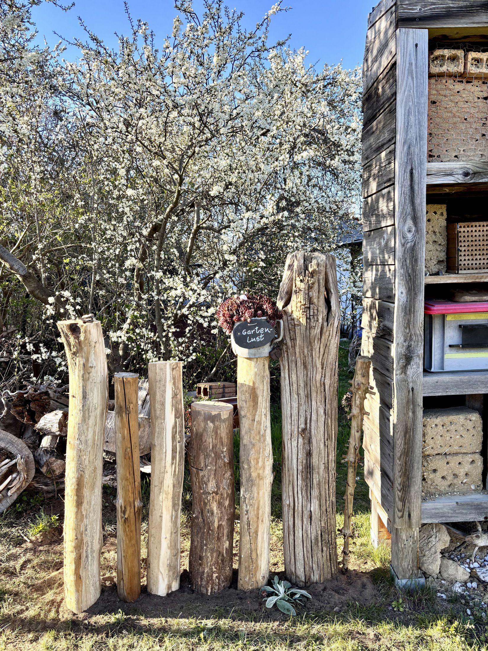 Naturgarten mit vielen Wildpflanzen, Wildbienen und blühenden Wiesen