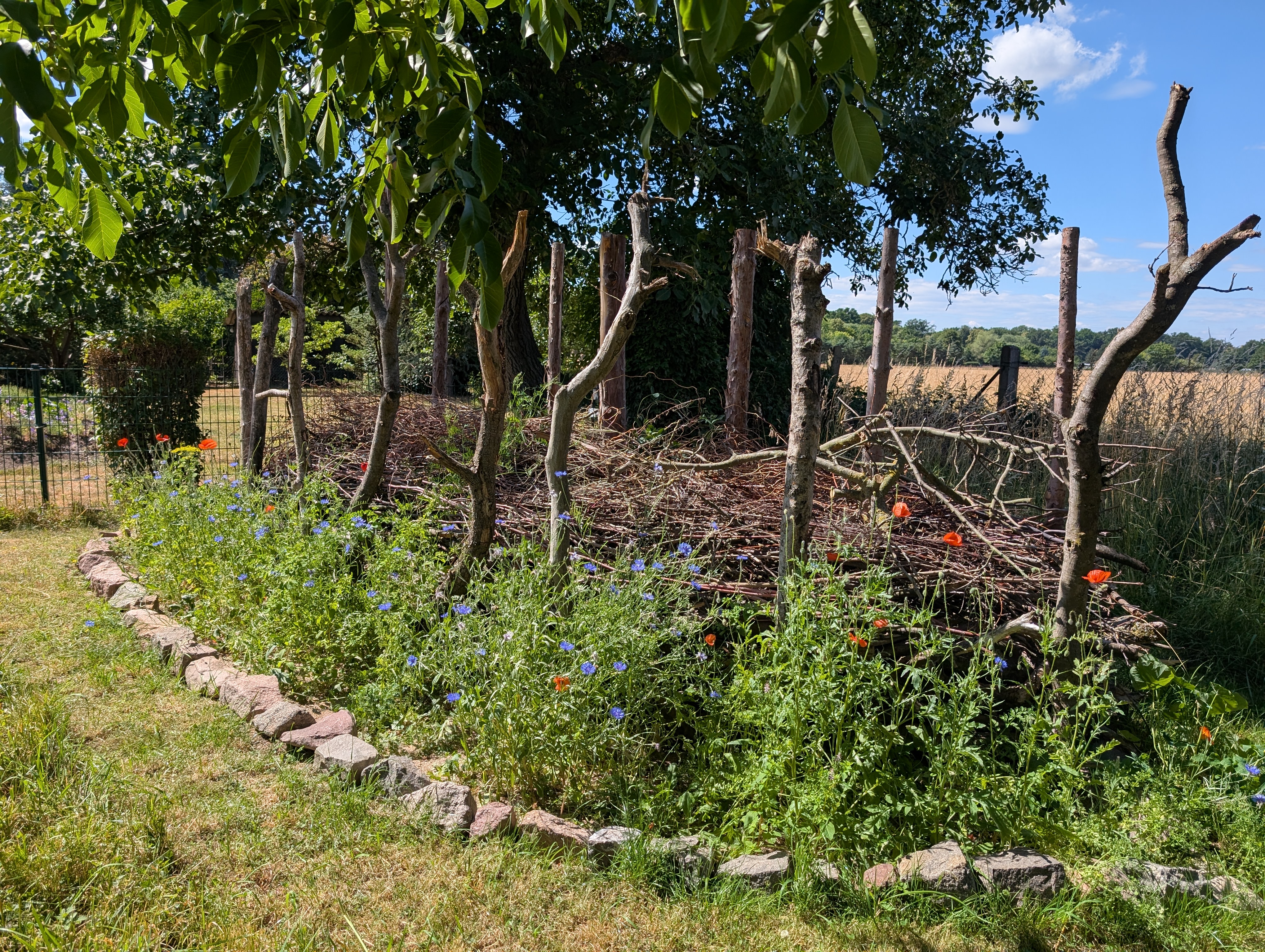 Stück für Stück zum Garten voller Leben