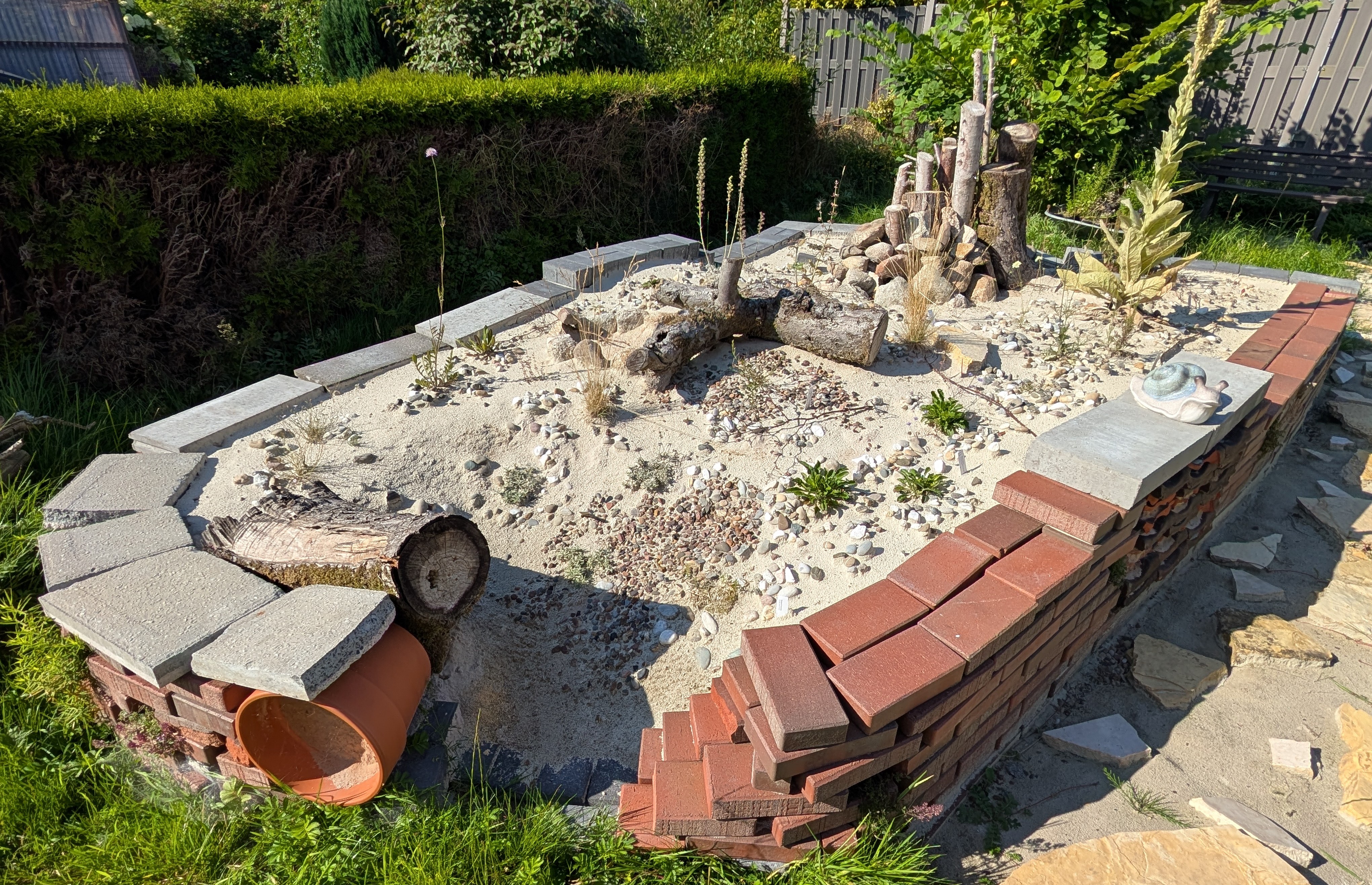 Magerbeet mit Eidechsenburg