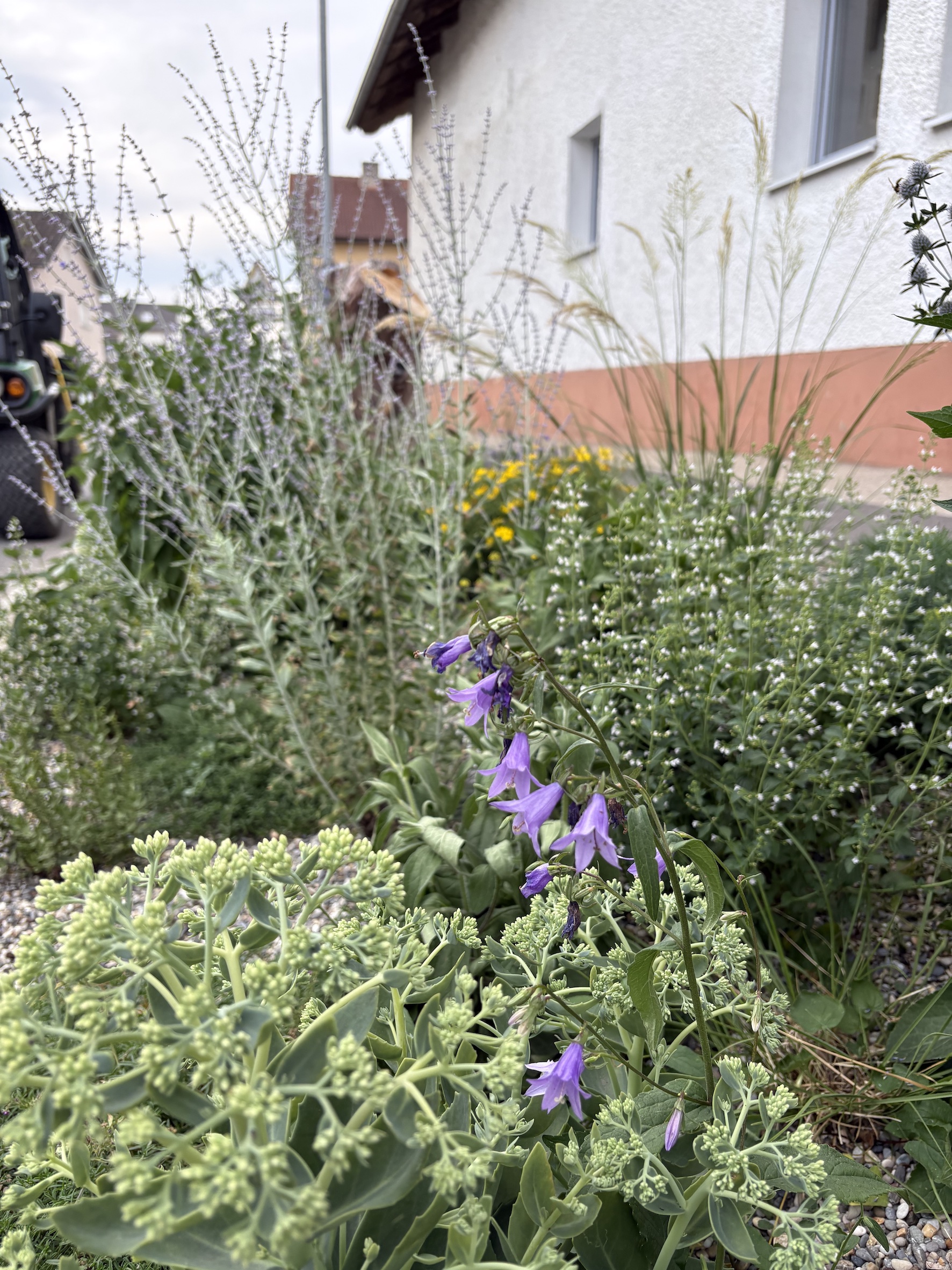 Mehr Blüten für Preith