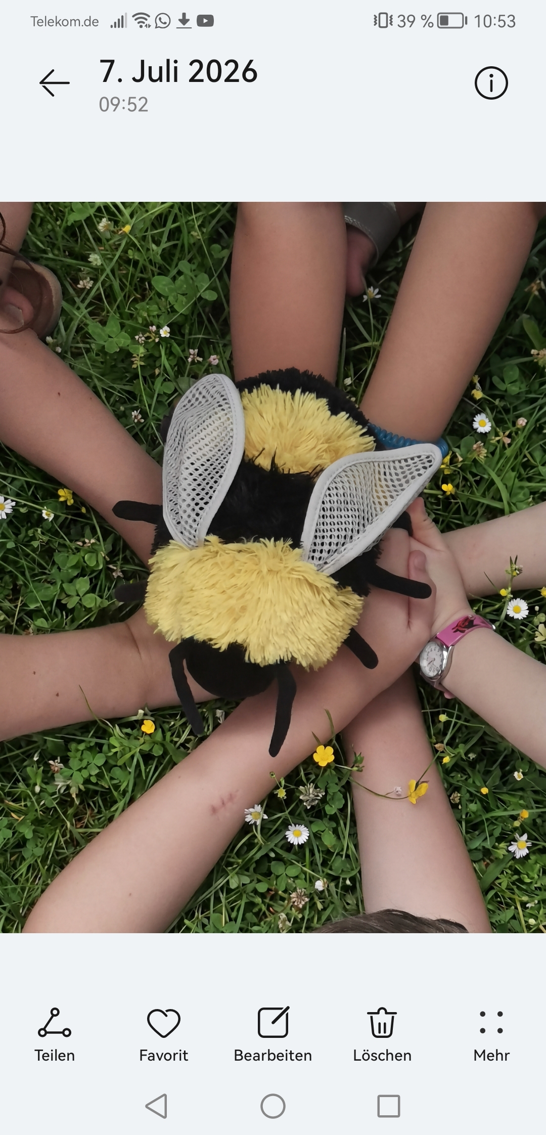 Insektengarten der Naturforscher AG/ Grundschule Guntersblum