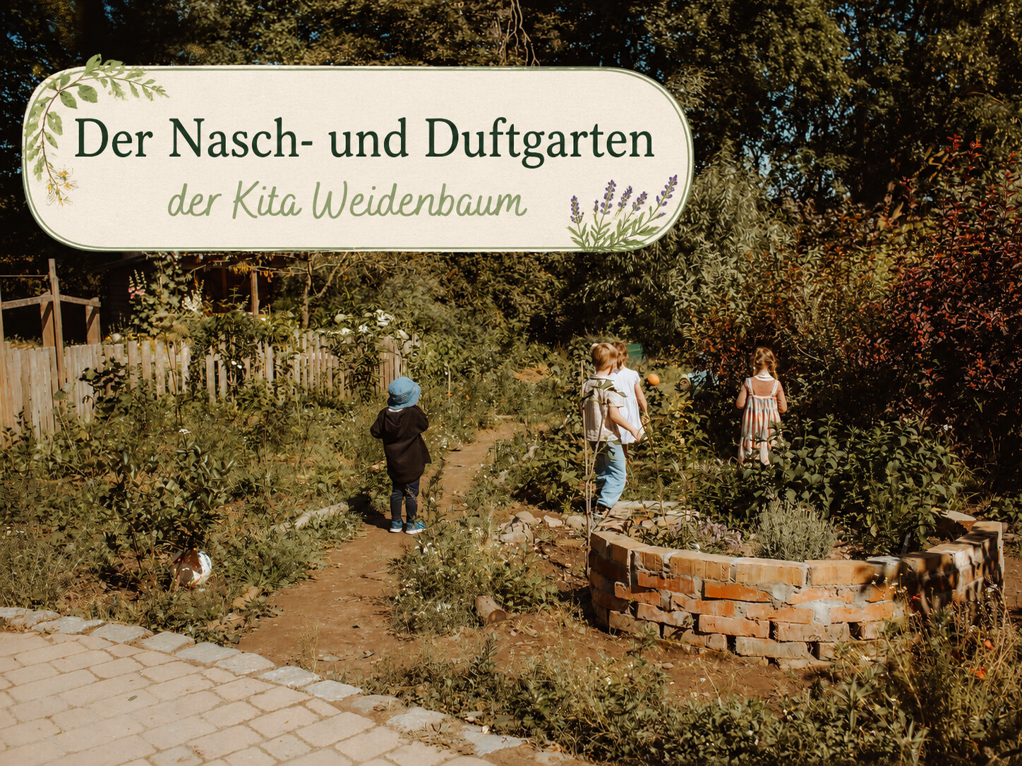 DER WEIDENBAUM SUMMT!