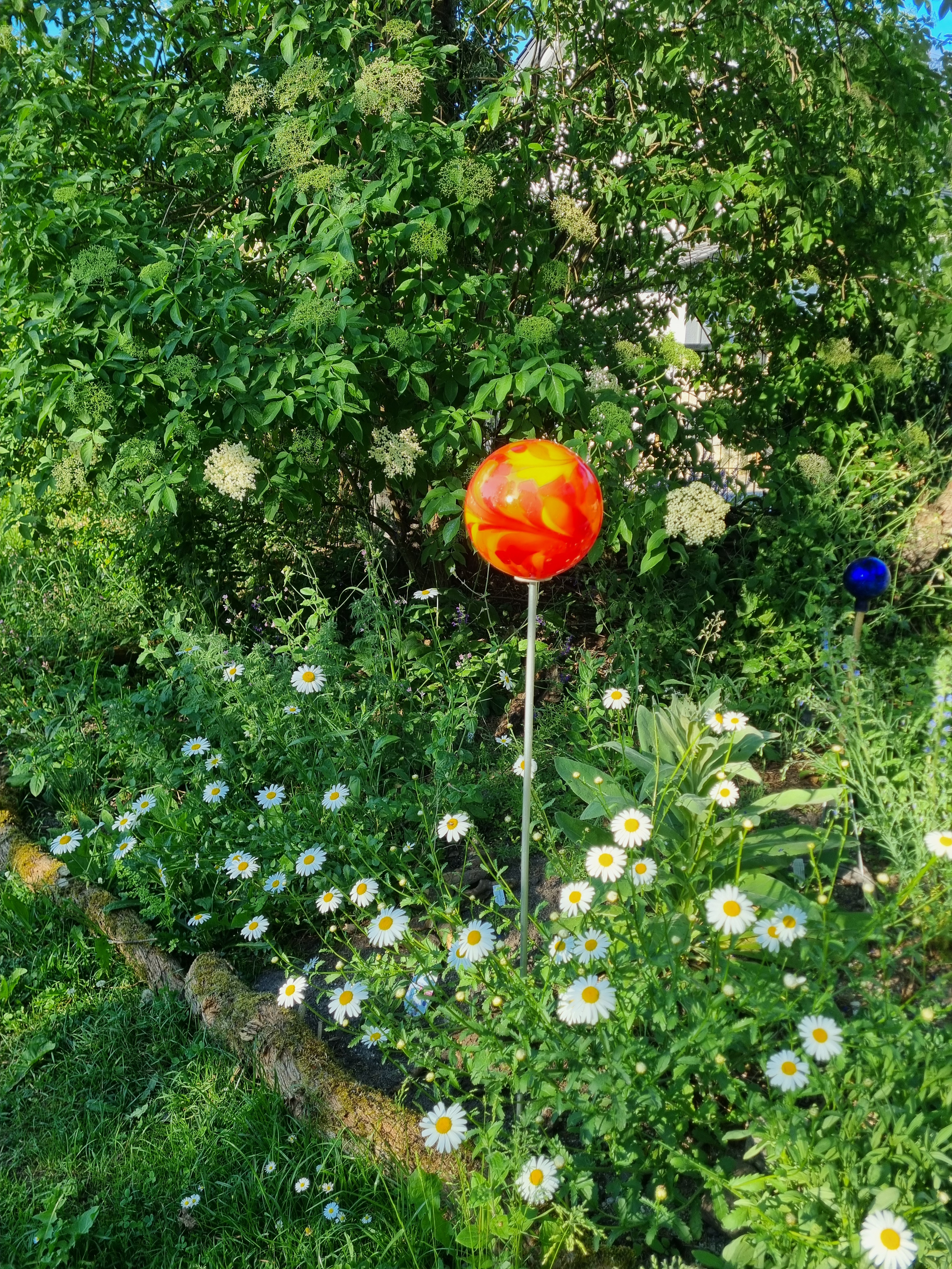 Kleine Naturoase für Mensch und Tier