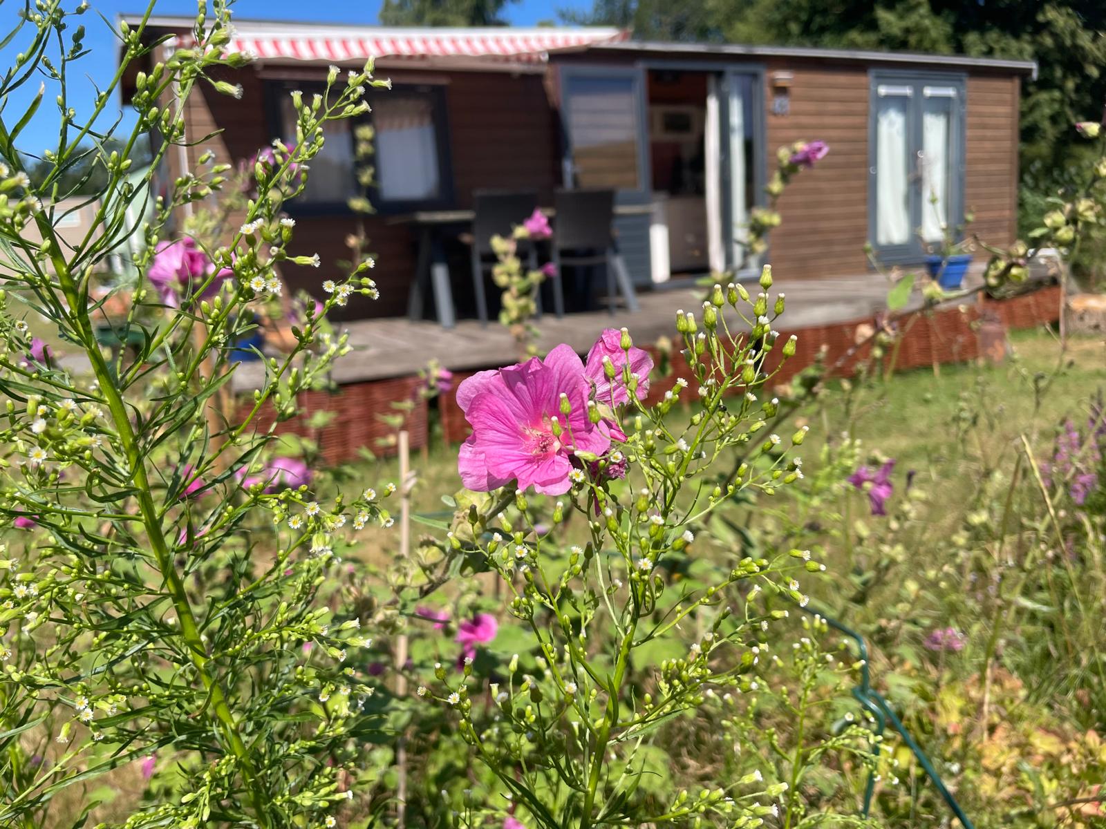 Tinyhouse Garten