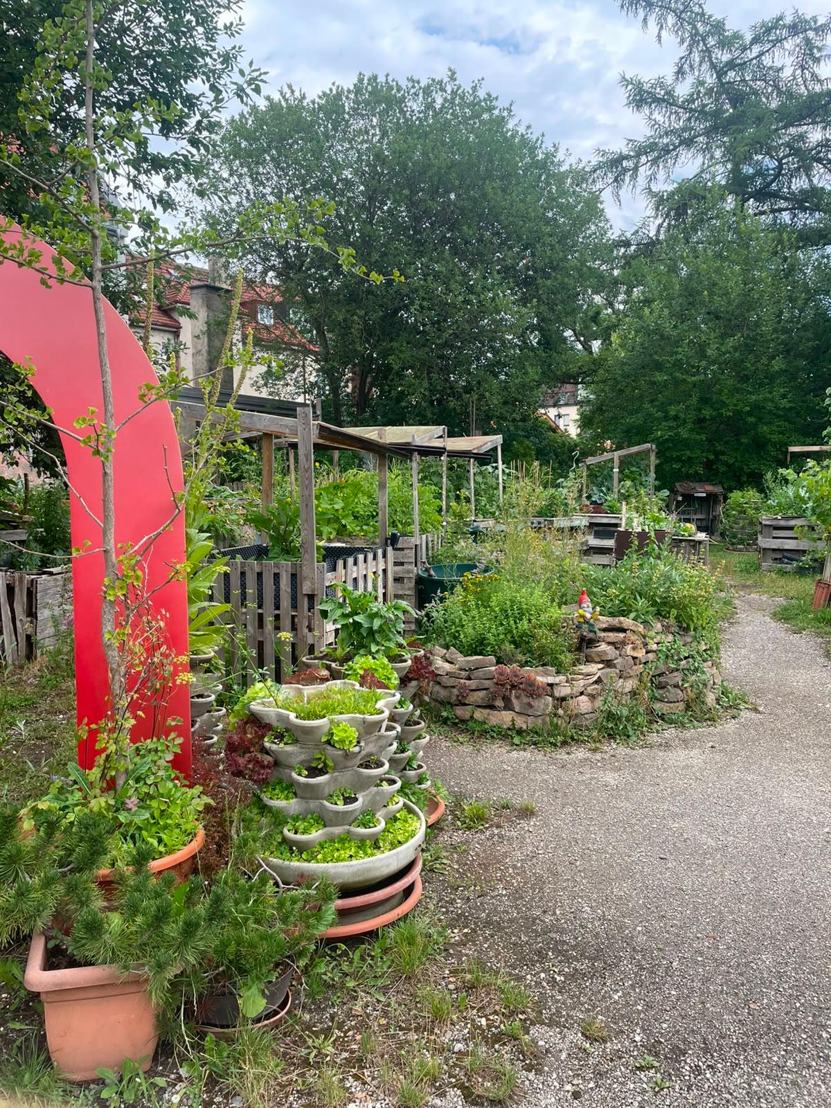 Gemeinschaftsgarten rosen_heim