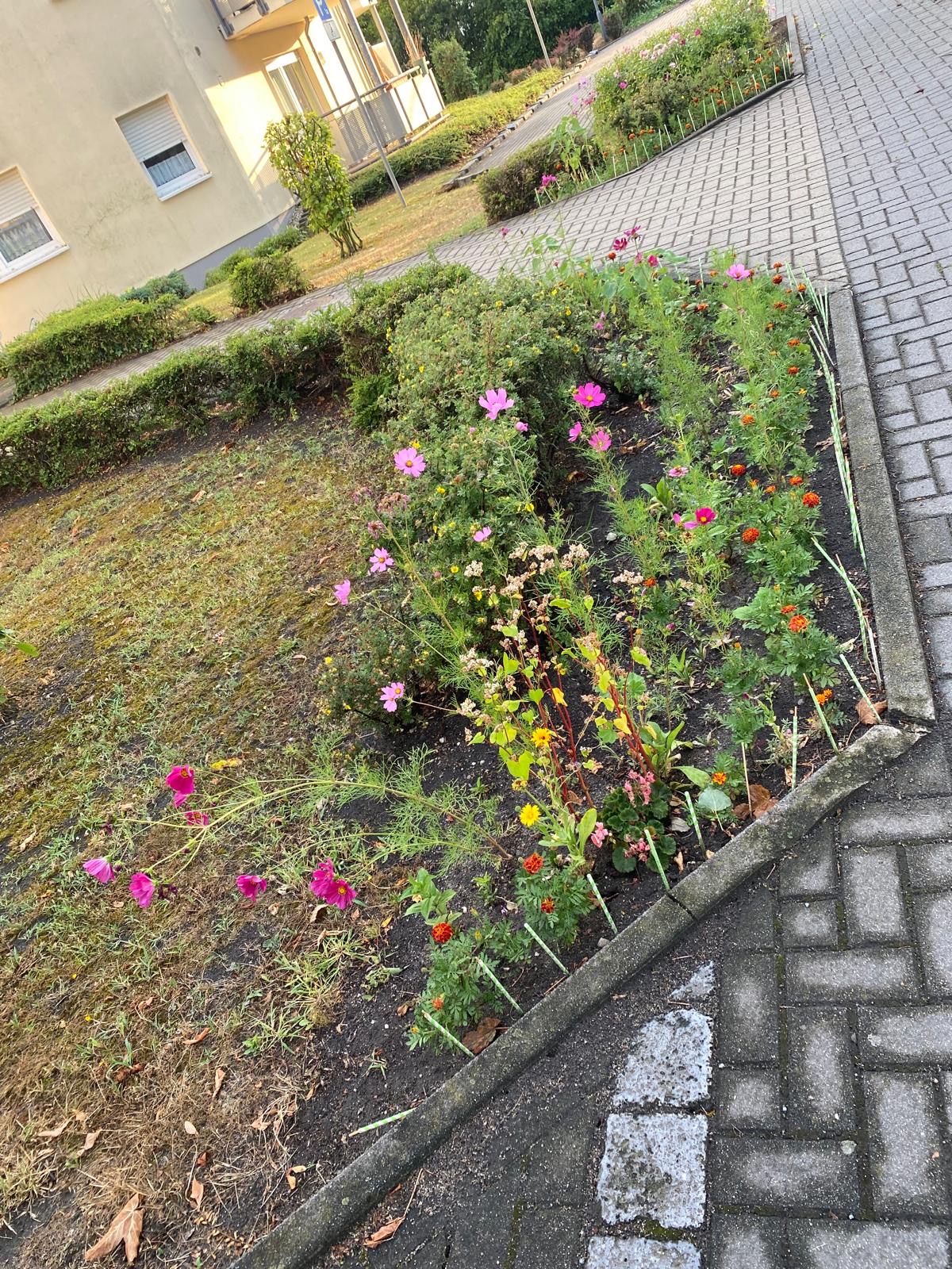 Blühende Begegnungen im altersgerechten Wohnen