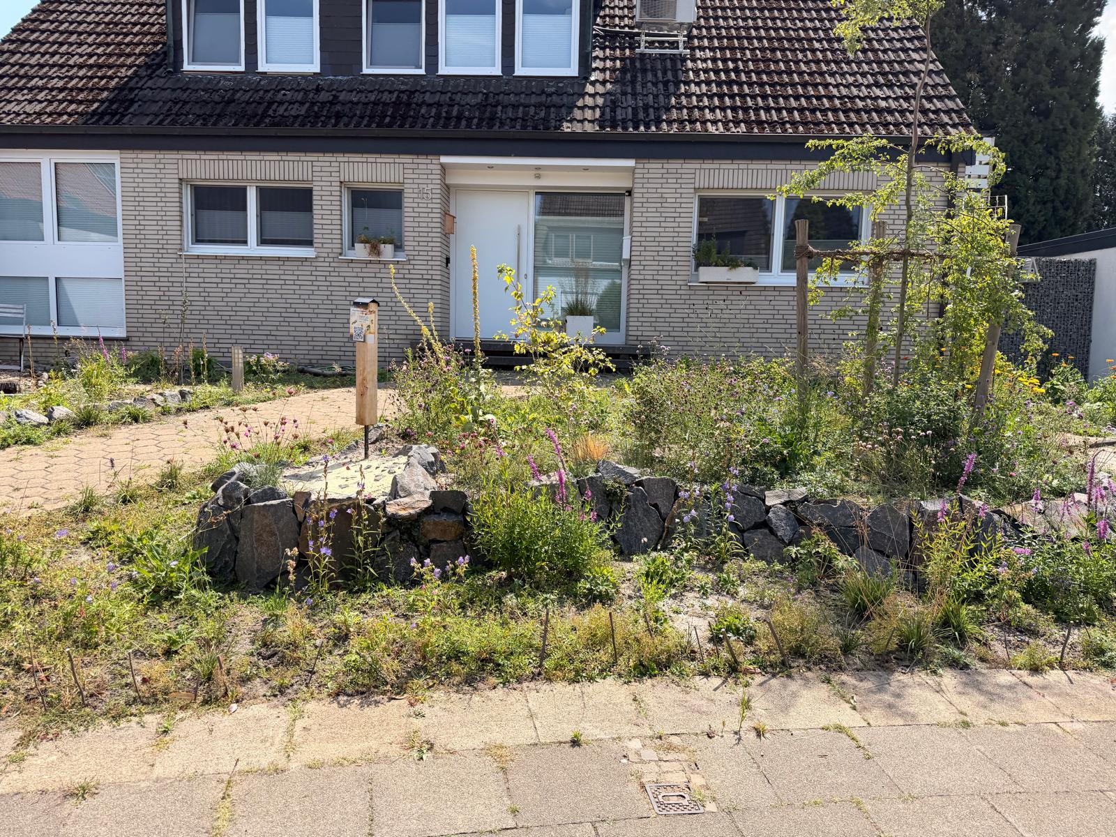 1000-Arten-Vorgarten