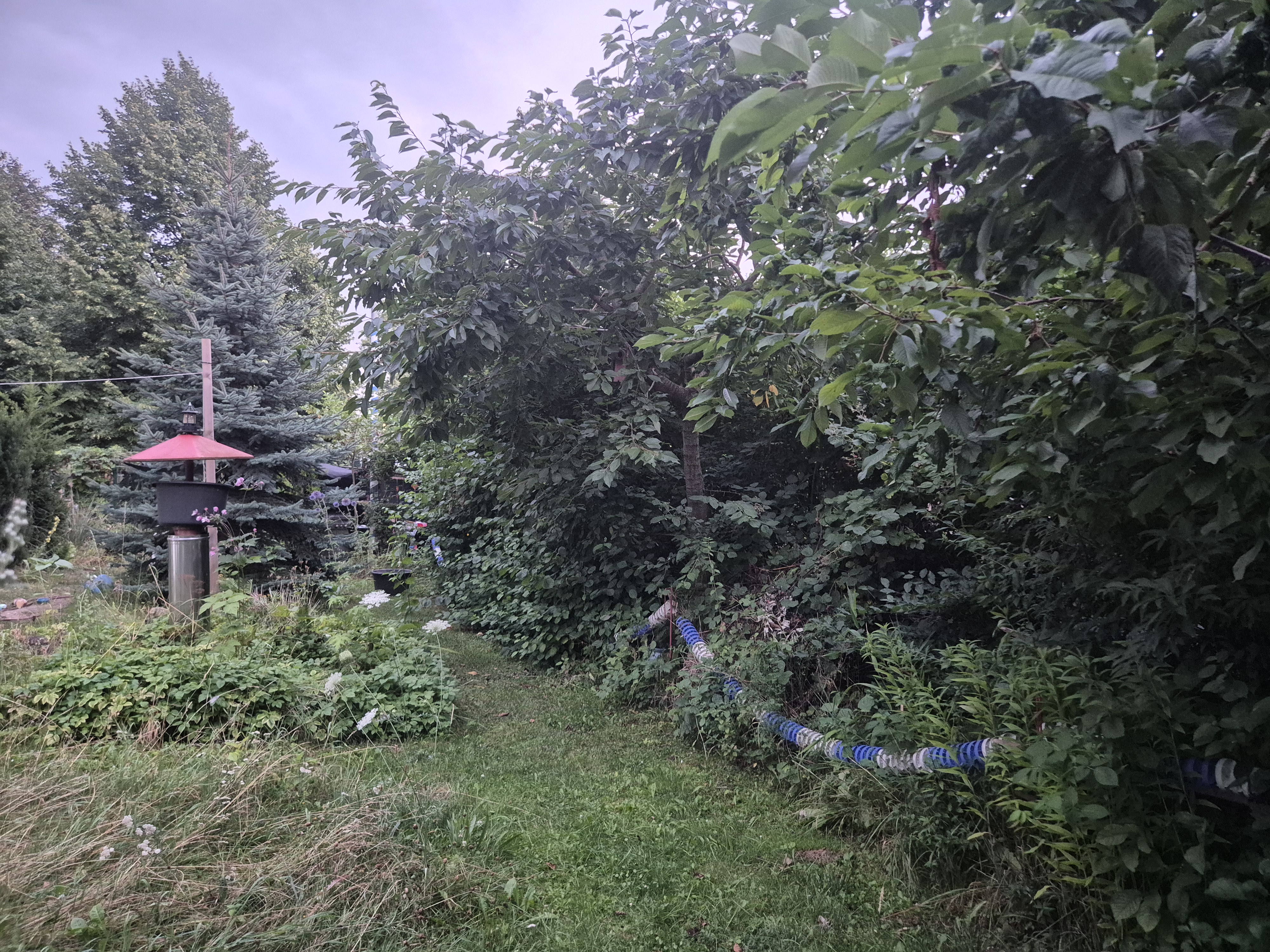 Unser vielfältiger Naturgarten in Bad Nenndorf