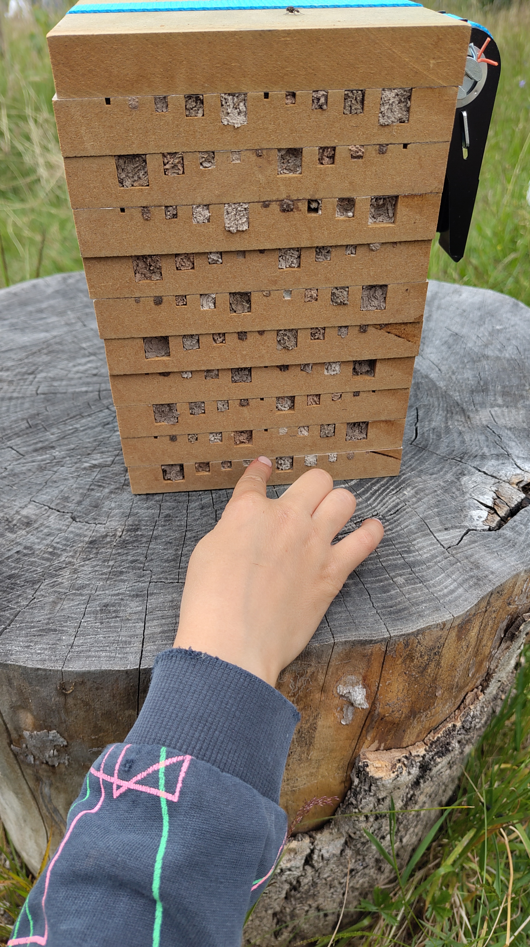 Ein neues Wildbienenhaus mit Wildbienenmonitoring und weitere Biotope für unseren Permakulturgarten